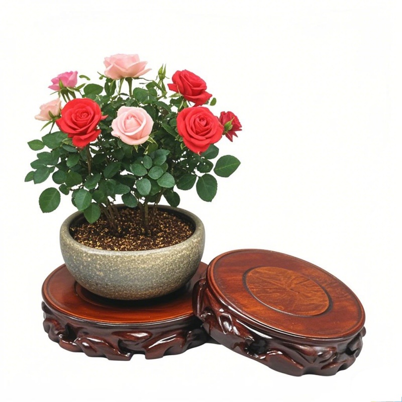 Ahşap Bitki Tabağı ve Saksı St - Coffee Tea For Garden incelemesi ve fiyatı